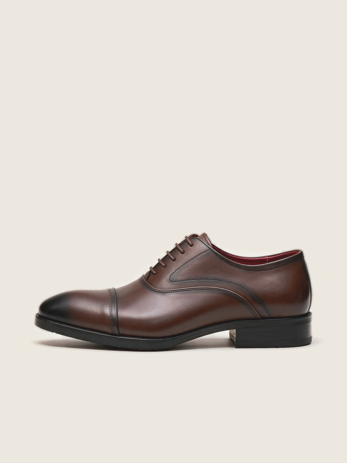 Oxford, Brown, front view on a plain background